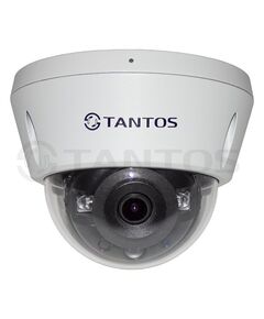 TSi-Veco25FP Tantos IP видеокамера уличная, фото  TSi-Veco25FP Tantos IP видеокамера уличная, фото [no] | domofonn.ru