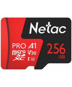 Карта памяти Netac NT02P500PRO-256G-S, 256 ГБ, Class 10, фото  Карта памяти Netac NT02P500PRO-256G-S, 256 ГБ, Class 10, фото [no] | domofonn.ru