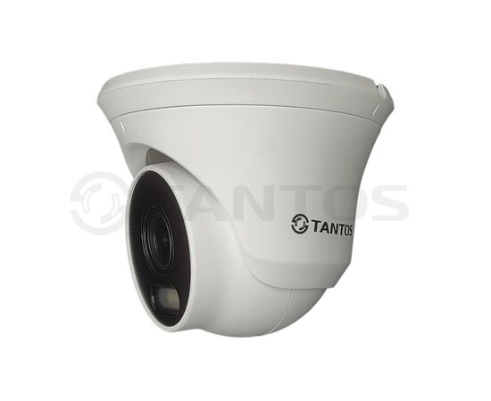 TSi-Beco55FP Tantos IP видеокамера уличная, фото  TSi-Beco55FP Tantos IP видеокамера уличная, фото [no] | domofonn.ru