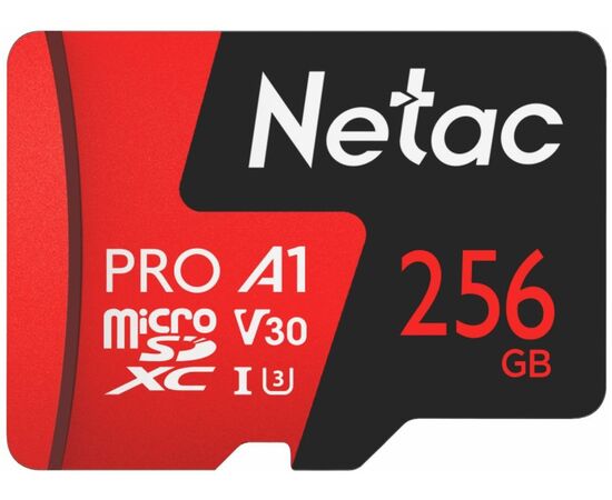 Карта памяти Netac NT02P500PRO-256G-S, 256 ГБ, Class 10, фото  Карта памяти Netac NT02P500PRO-256G-S, 256 ГБ, Class 10, фото [no] | domofonn.ru
